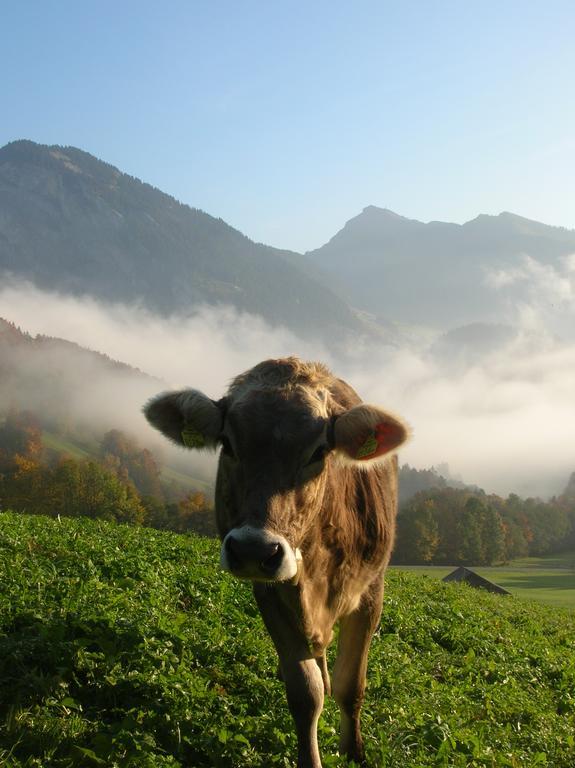 Hof Erath * Au (Vorarlberg)
